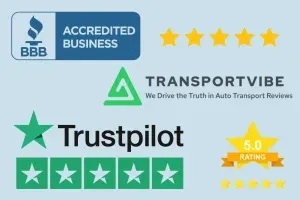 Comparing User Experiences Across BBB, Trustpilot & Transportvibe: Which Review Platform Should You Trust?