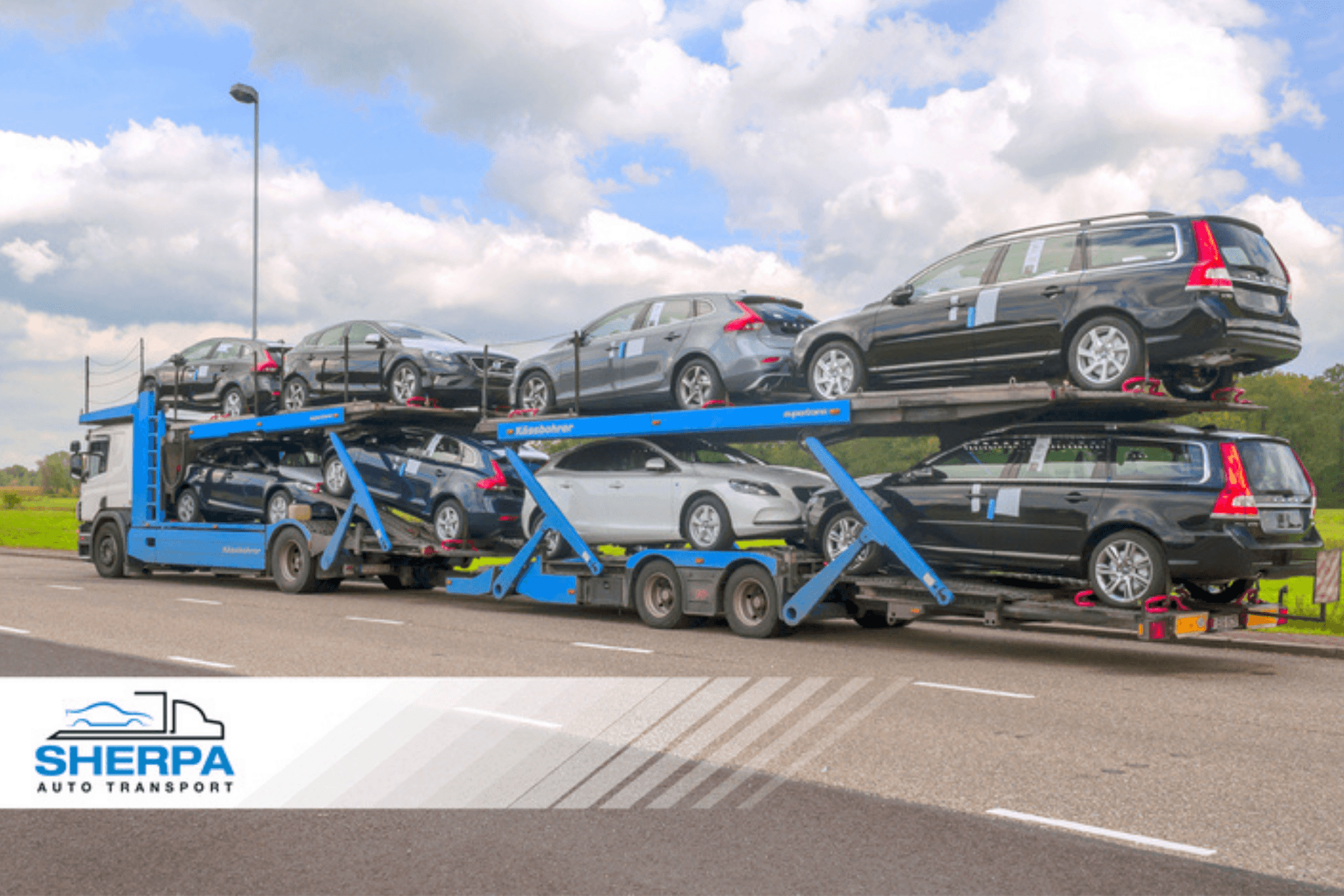 Sherpa Auto Transport