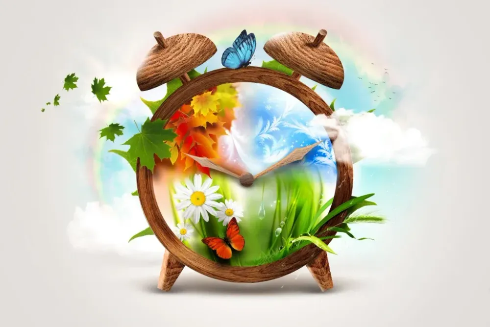 Best Time of Year to Ship a Car in the USA (and How to Save Money)